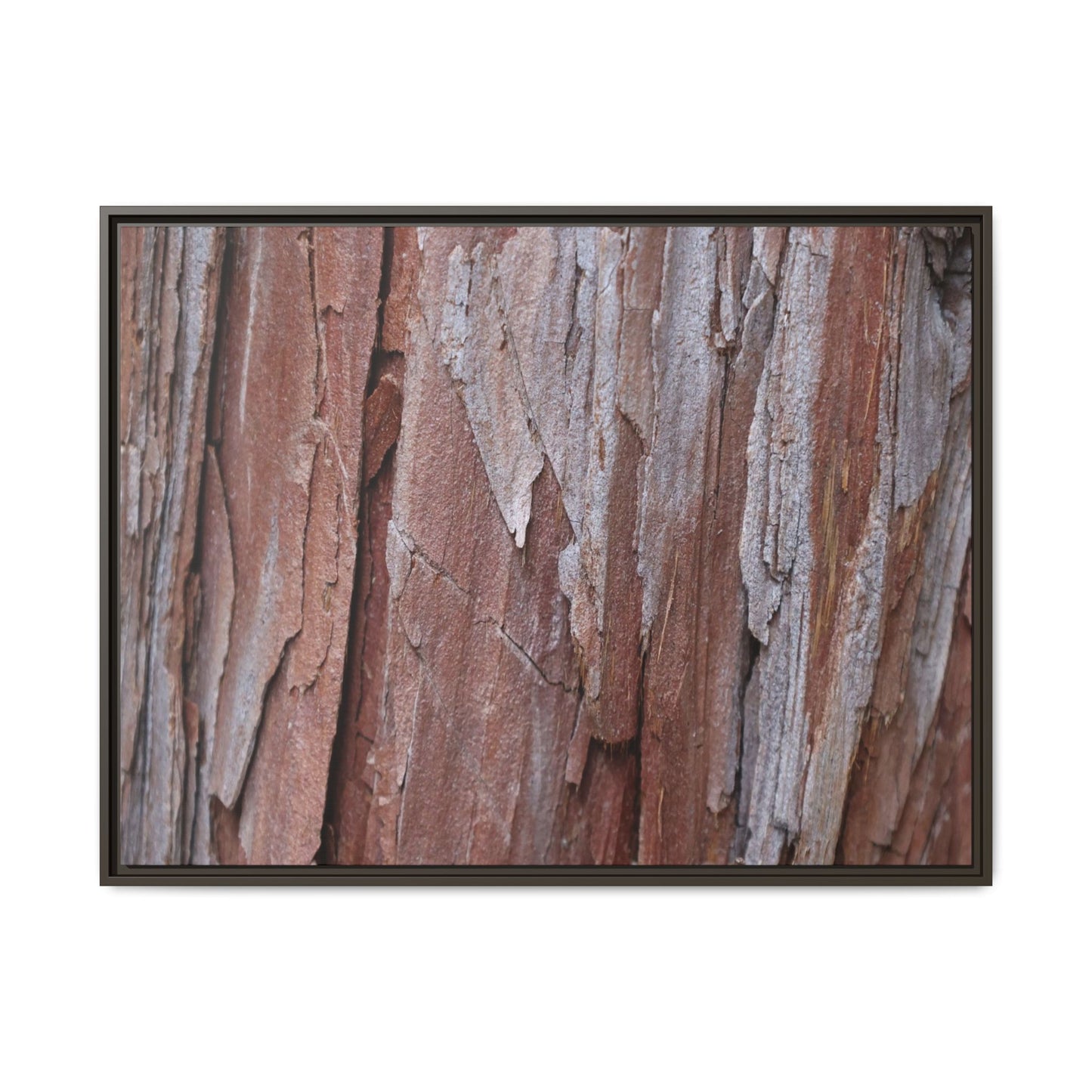 Time and Decay - Unique Stretched Canvas Wall Art - Art By Earth