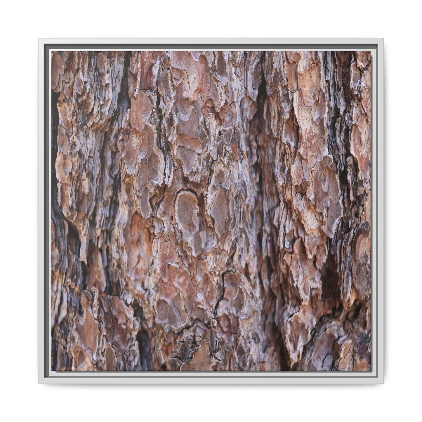 Woody Layers - Unique Stretched Canvas Wall Art - Art By Earth