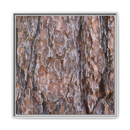 Woody Layers - Unique Stretched Canvas Wall Art - Art By Earth