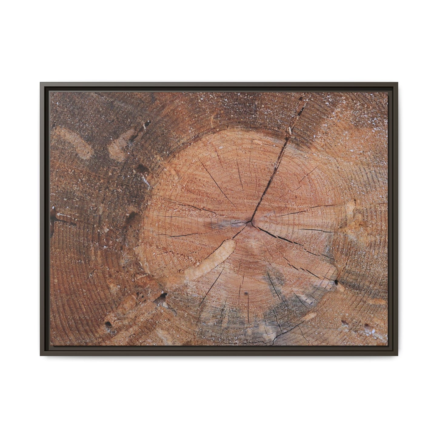 Concentric Memories - Unique Stretched Canvas Wall Art - Art By Earth