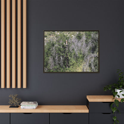Forest Decline - Unique Stretched Canvas Wall Art