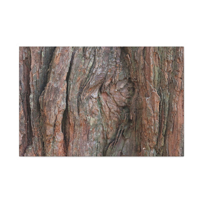 Rustic Embrace - Unique Frameless Canvas Wall Art - Art By Earth