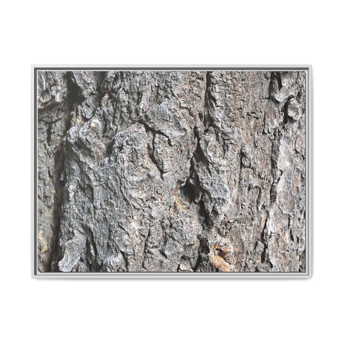 Crusty Exterior - Unique Stretched Canvas Wall Art - Art By Earth