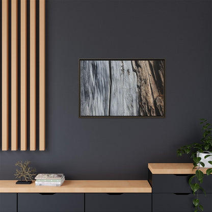 Wood's Lament - Unique Stretched Canvas Wall Art - Art By Earth