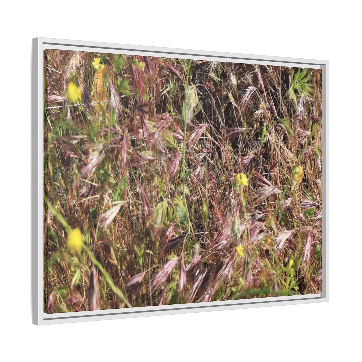 Autumn Meadow - Unique Stretched Canvas Wall Art - Art By Earth