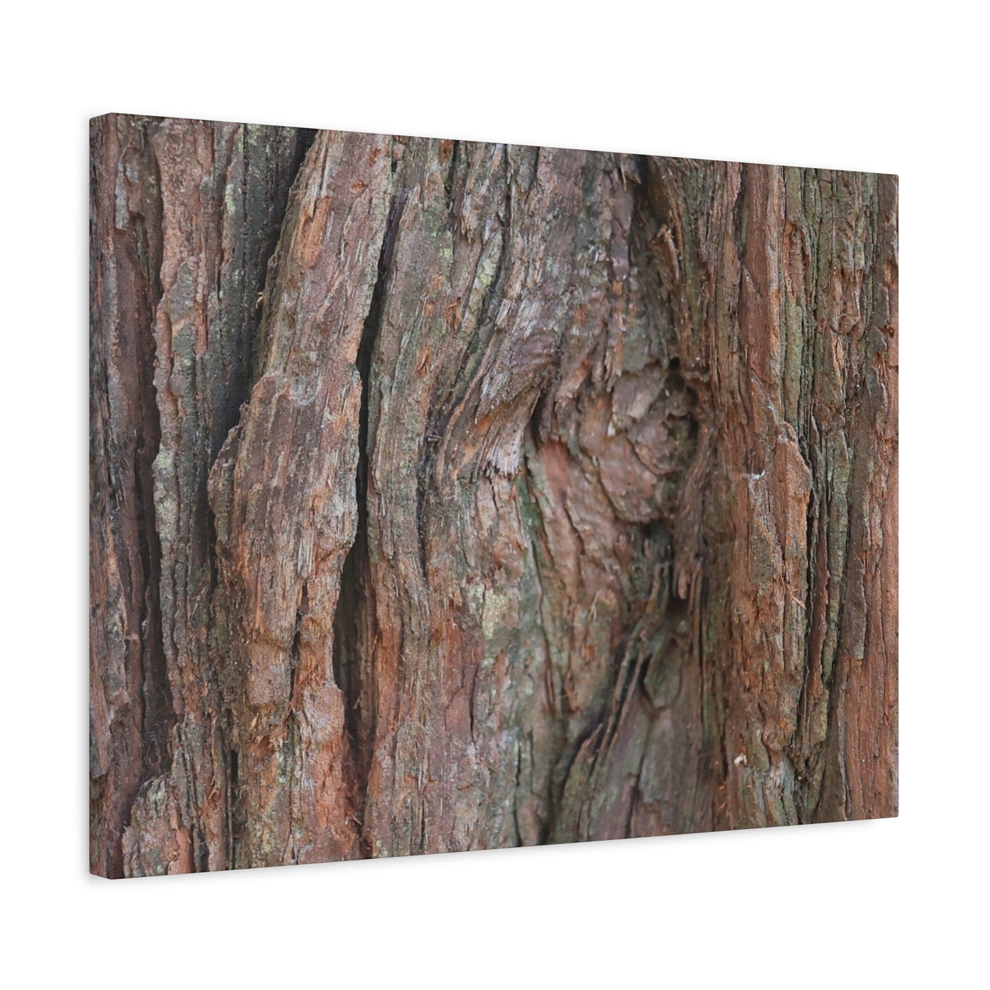 Rustic Embrace - Unique Frameless Canvas Wall Art - Art By Earth