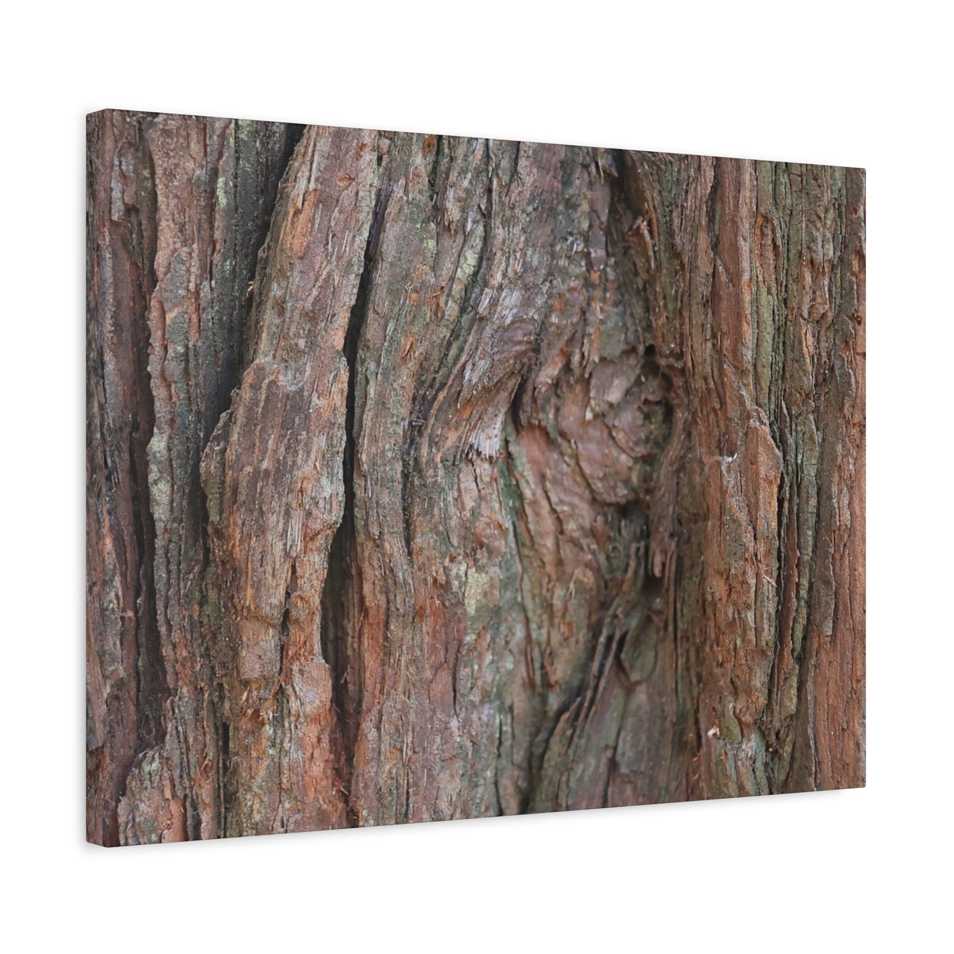 Rustic Embrace - Unique Frameless Canvas Wall Art - Art By Earth