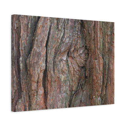 Rustic Embrace - Unique Frameless Canvas Wall Art - Art By Earth