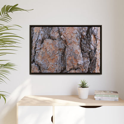 Tree Skin Symphony - Unique Stretched Canvas Wall Art - Art By Earth