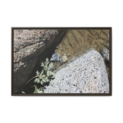Resilience in Stone - Unique Stretched Canvas Wall Art - Art By Earth