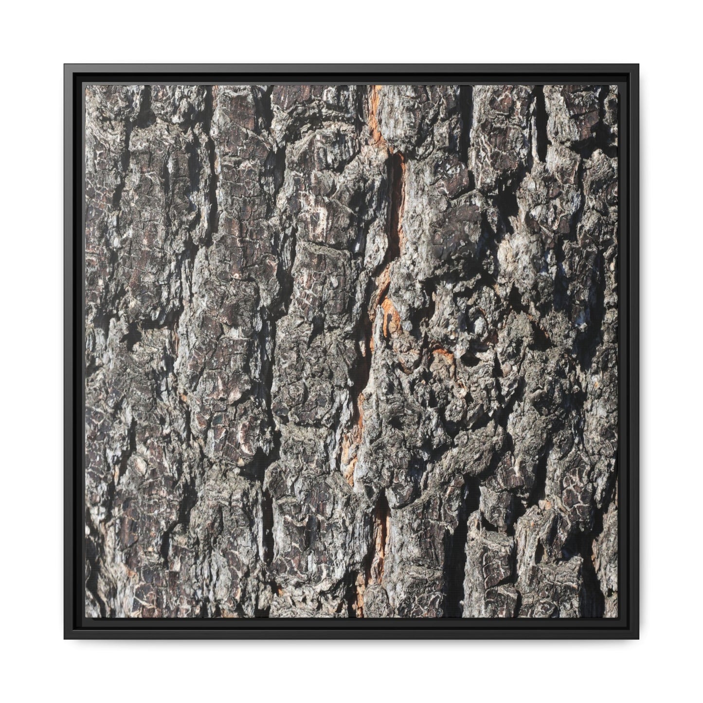 Aged Beauty - Unique Stretched Canvas Wall Art - Art By Earth