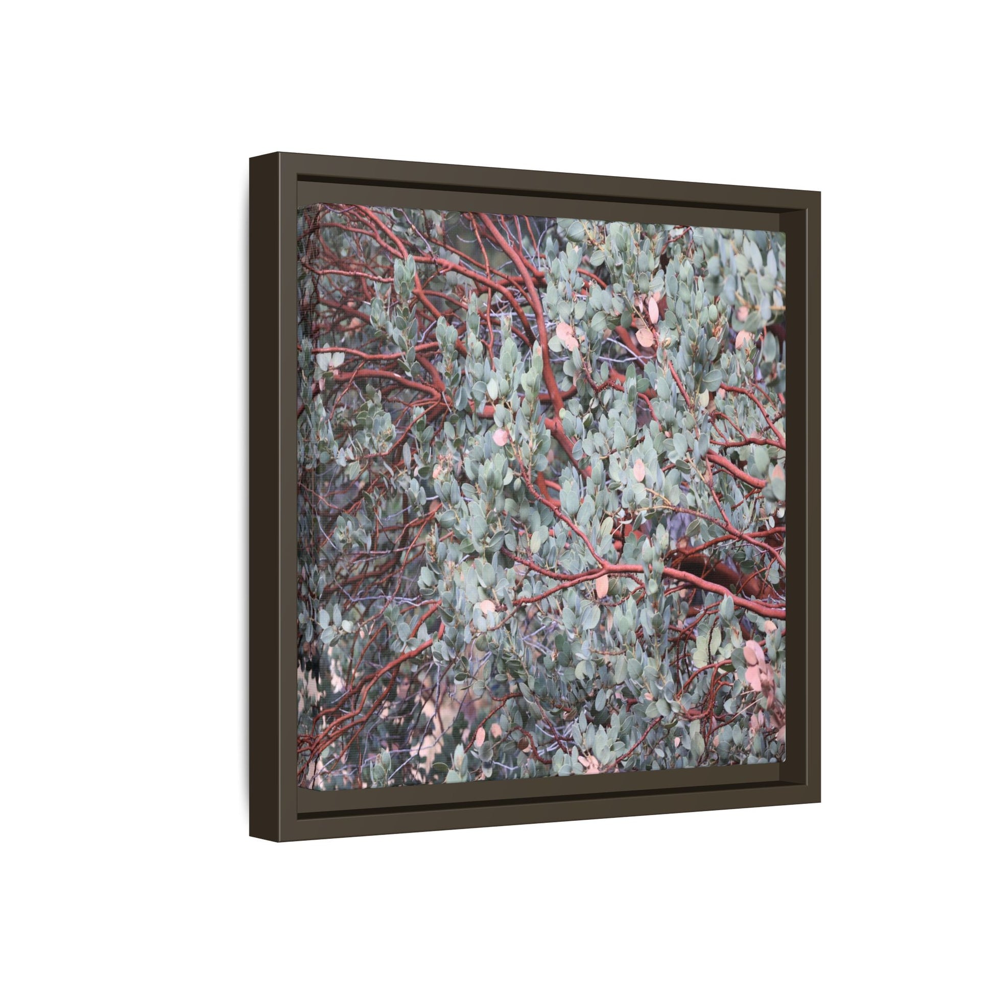 Whispers of Sage - Unique Stretched Canvas Wall Art - Art By Earth