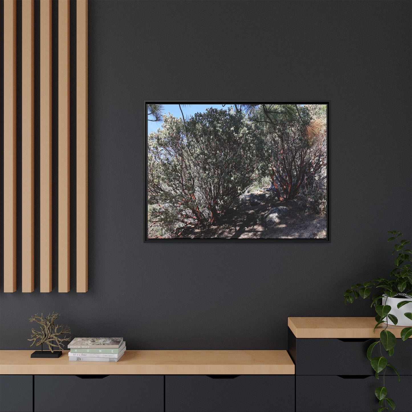 Desert Trail Through Blooming Manzanita - Unique Stretched Canvas Wall Art