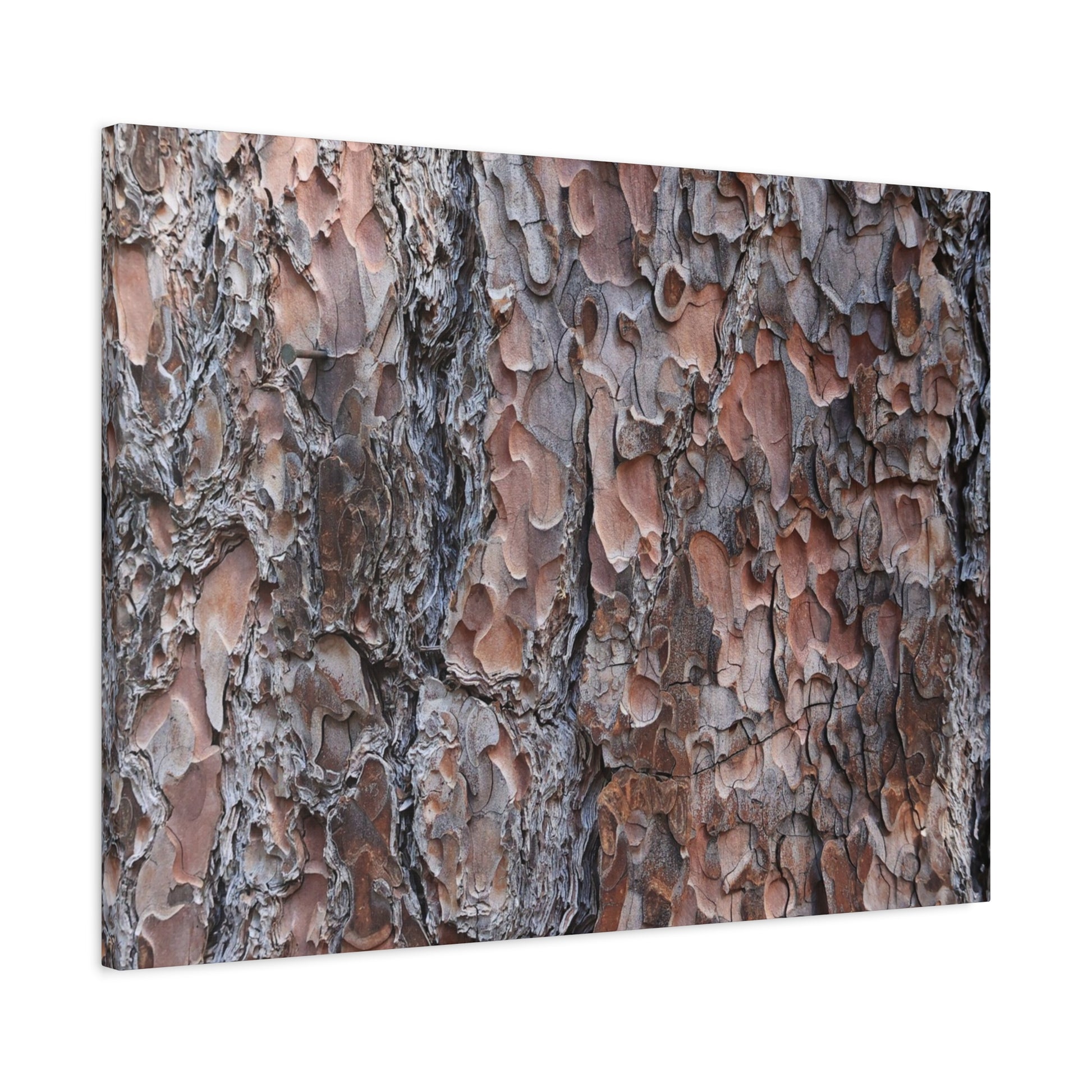 Woodland Armor - Unique Frameless Canvas Wall Art - Art By Earth
