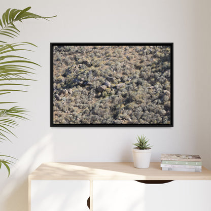 Arid Terrain Study - Unique Stretched Canvas Wall Art - Art By Earth