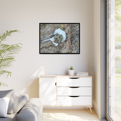 Lichen's Embrace - Unique Stretched Canvas Wall Art