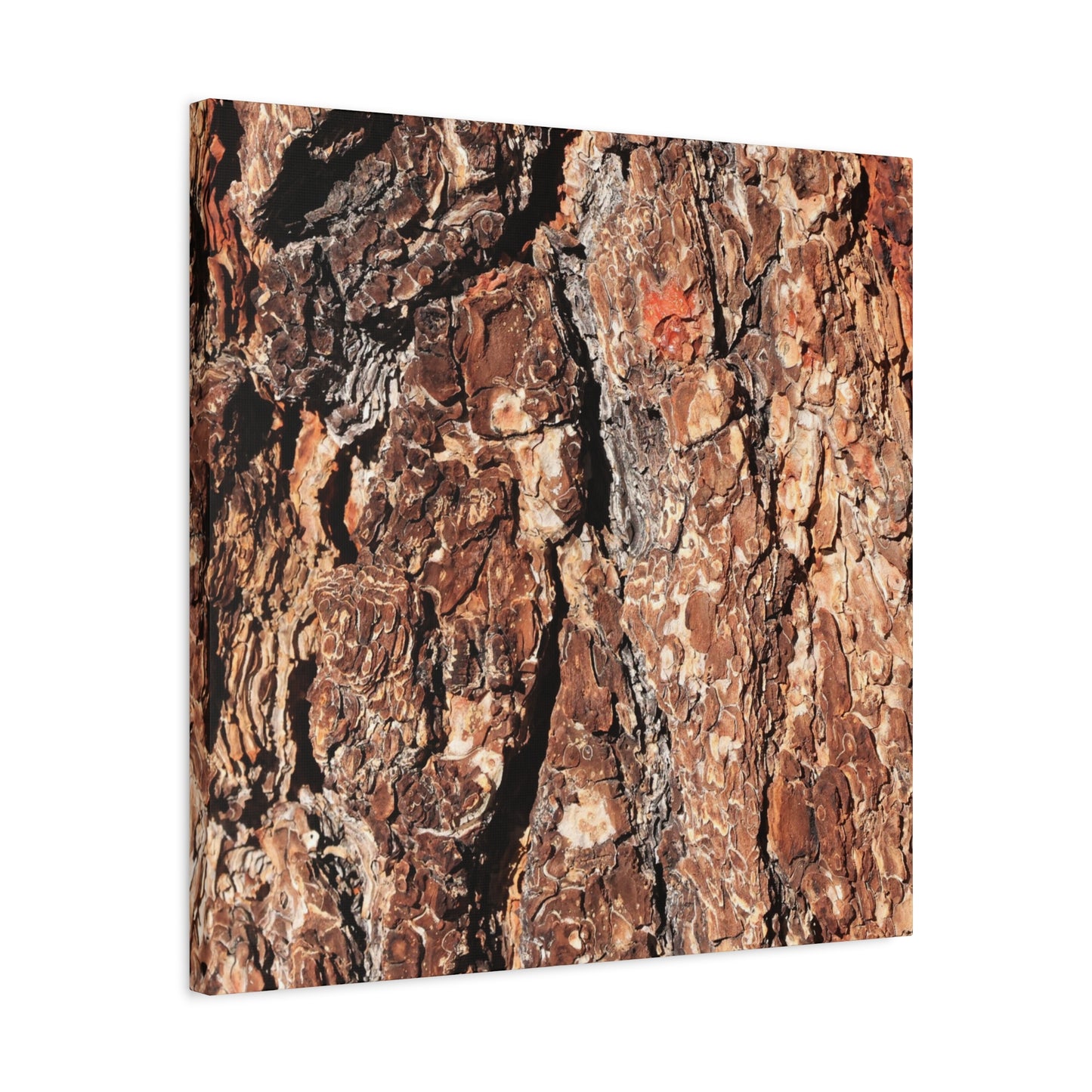 Russet Echoes - Unique Frameless Canvas Wall Art