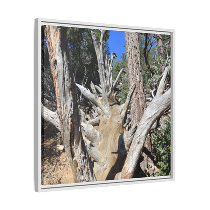 Forest Sentinels - Unique Stretched Canvas Wall Art