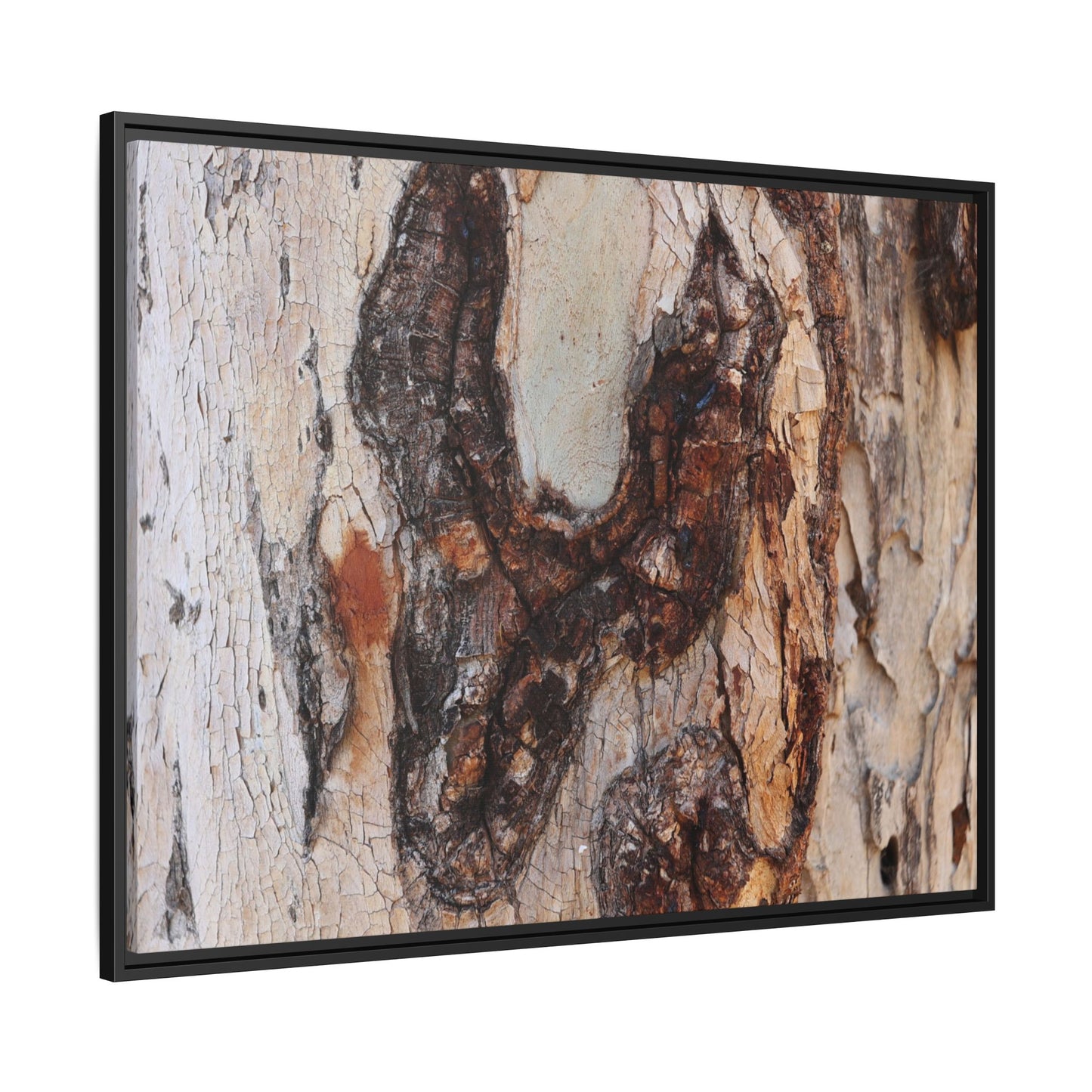 Texture of Time - Unique Stretched Canvas Wall Art - Art By Earth