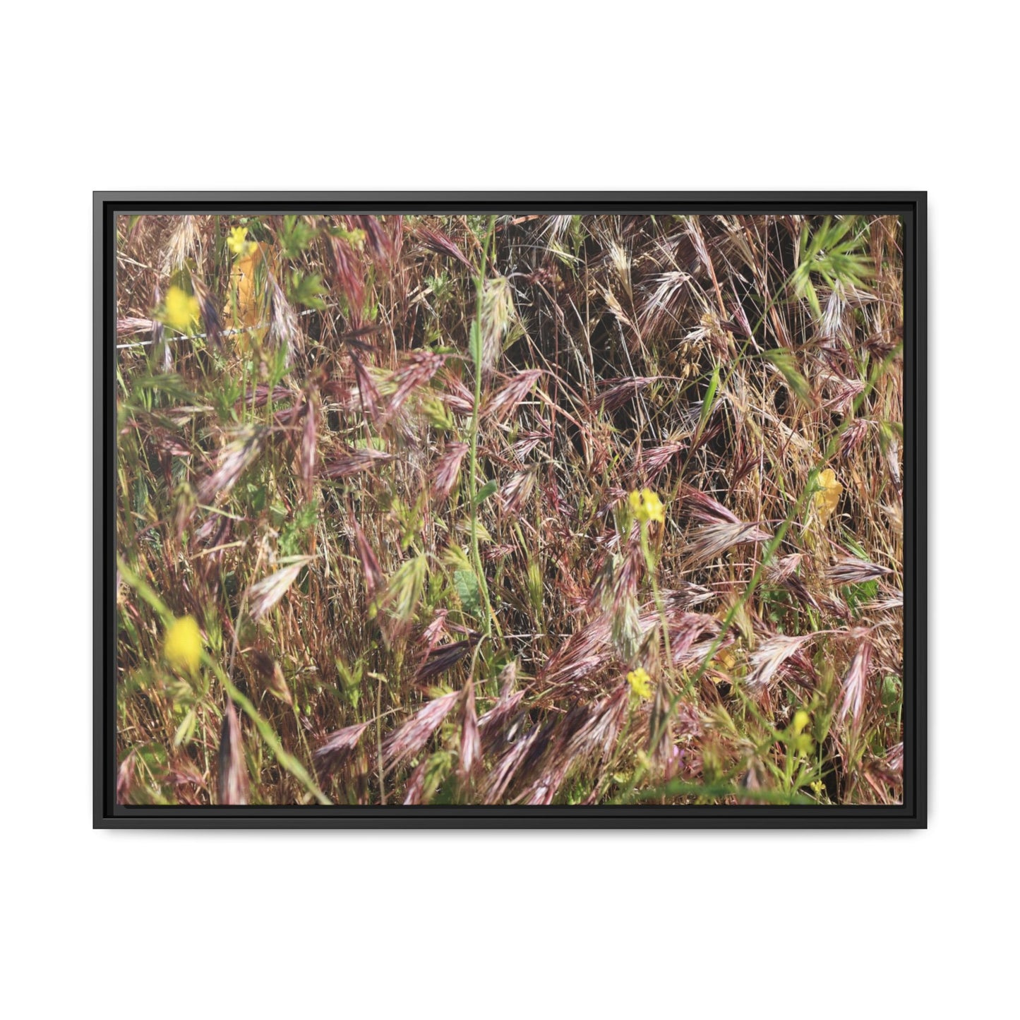 Autumn Meadow - Unique Stretched Canvas Wall Art - Art By Earth