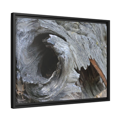 Bark's Labyrinth - Unique Stretched Canvas Wall Art - Art By Earth