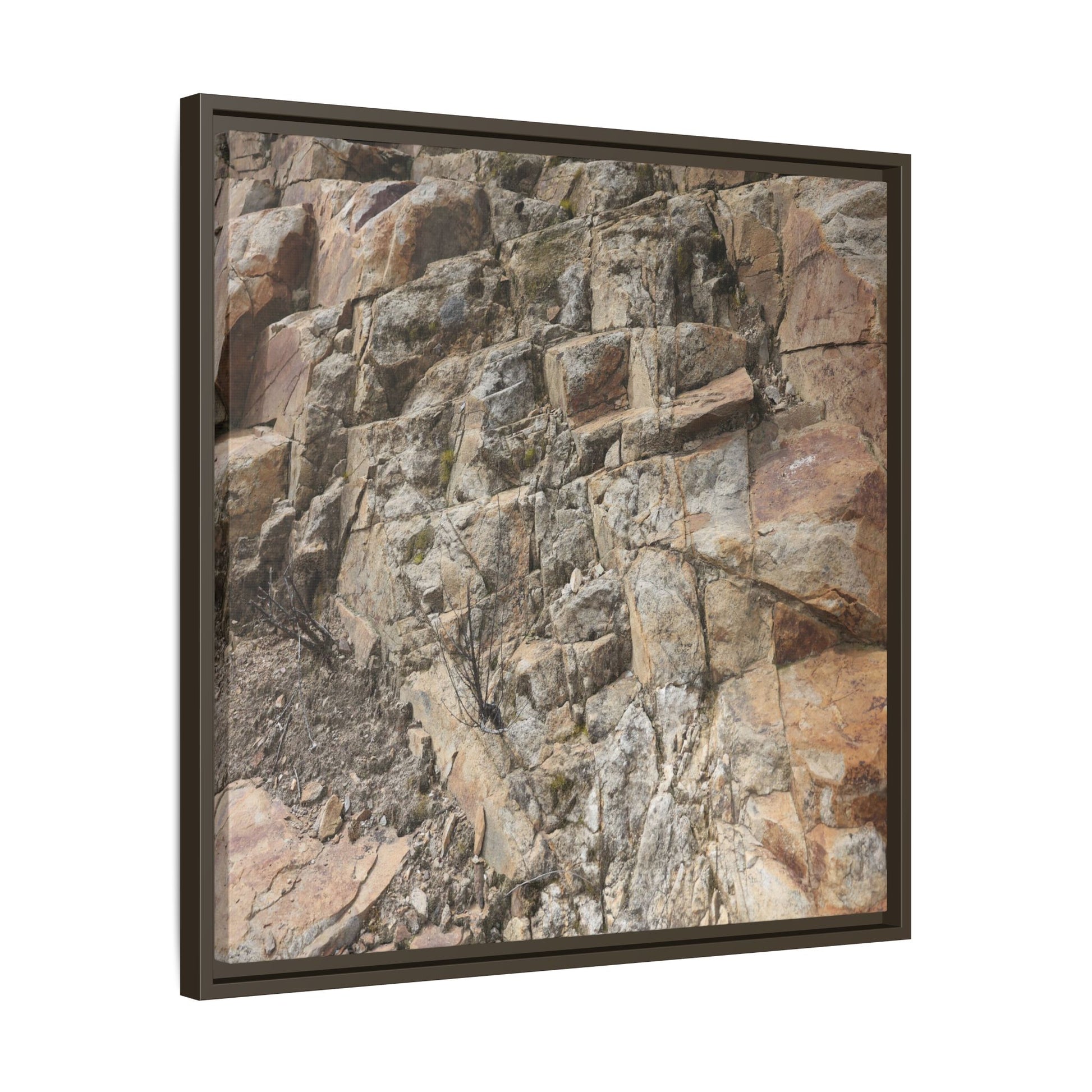 Stone's Silent Story - Unique Stretched Canvas Wall Art - Art By Earth