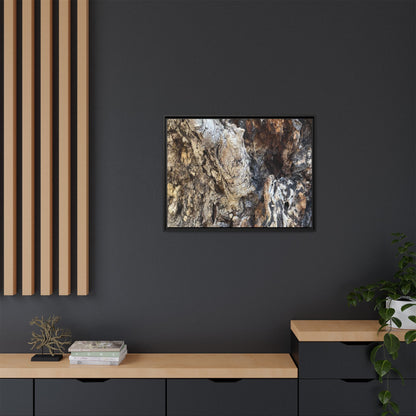 Ancient Tree Texture - Unique Stretched Canvas Wall Art - Art By Earth