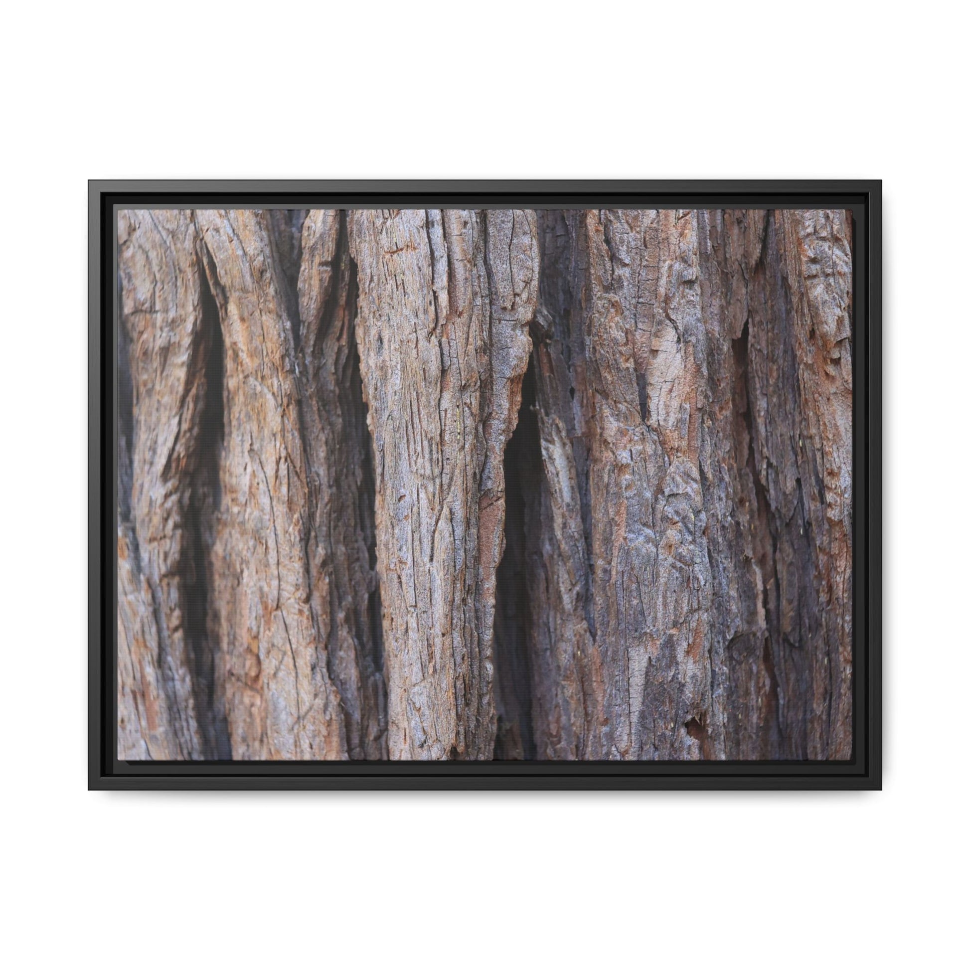 Ancient Grains - Unique Stretched Canvas Wall Art - Art By Earth