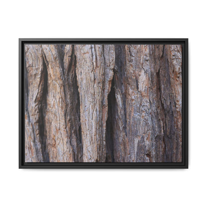 Ancient Grains - Unique Stretched Canvas Wall Art - Art By Earth