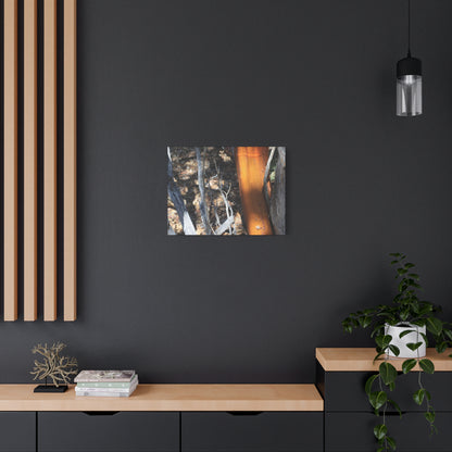 Burnt Forest Remnants - Unique Frameless Canvas Wall Art