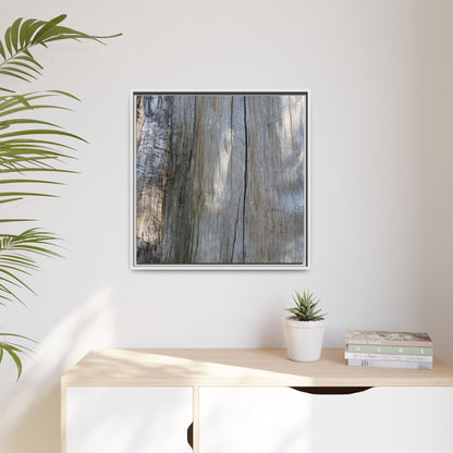 Cracked Timber Texture - Unique Stretched Canvas Wall Art
