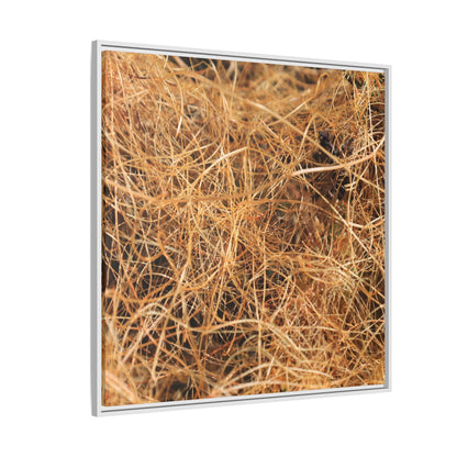 Dried Grass - Unique Stretched Canvas Wall Art - Art By Earth