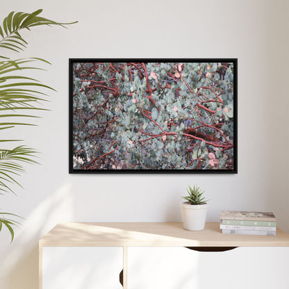 Whispers of Sage - Unique Stretched Canvas Wall Art - Art By Earth