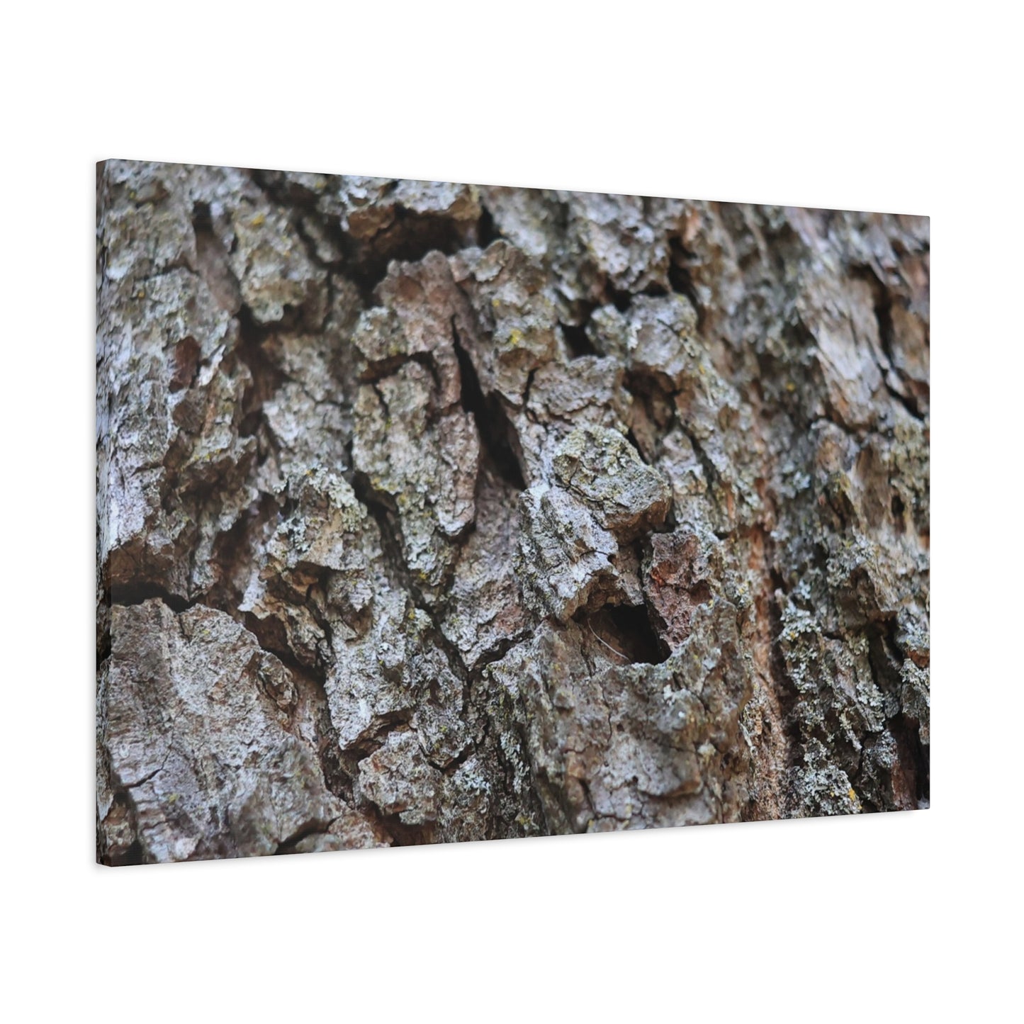 Cracked Echoes - Unique Frameless Canvas Wall Art - Art By Earth