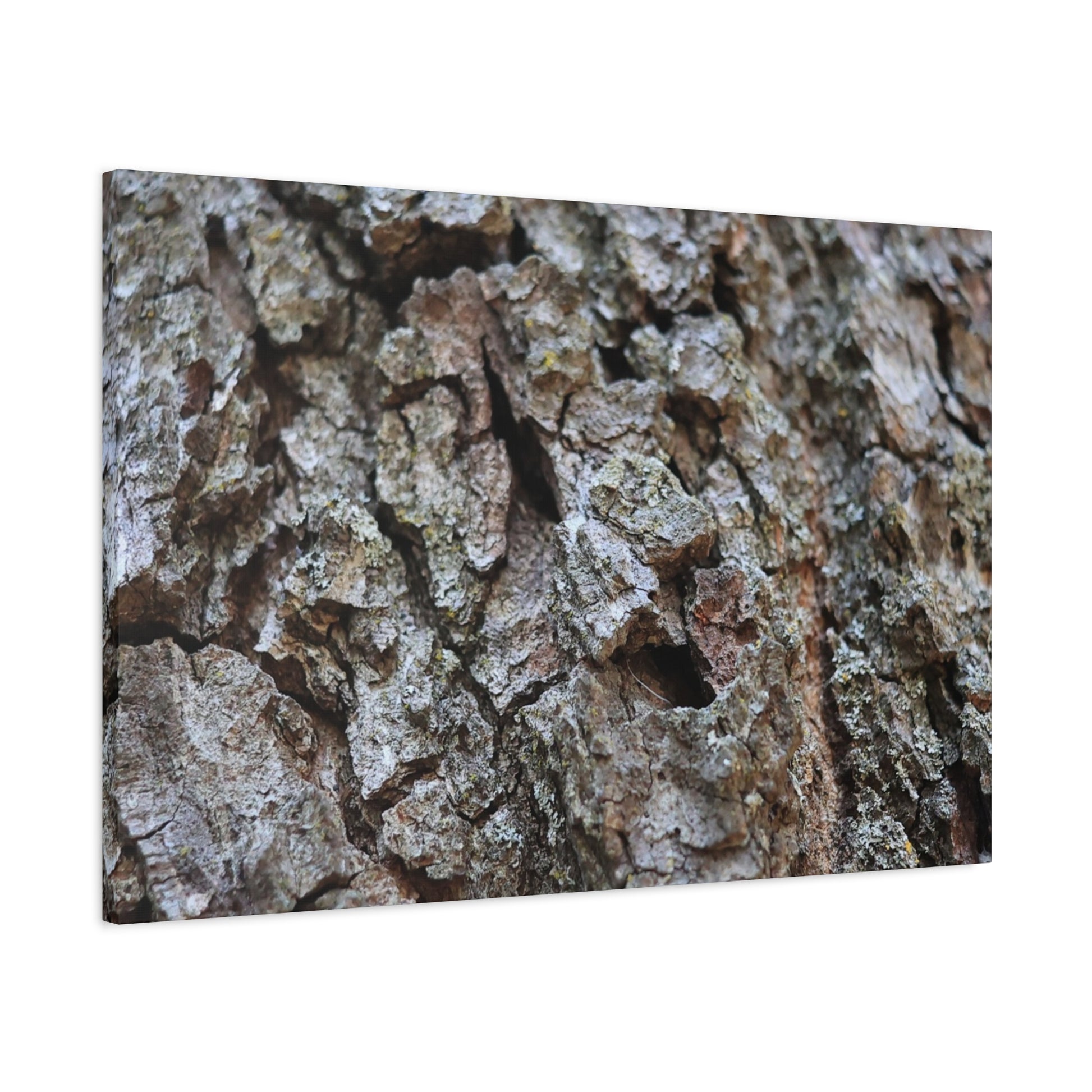 Cracked Echoes - Unique Frameless Canvas Wall Art - Art By Earth