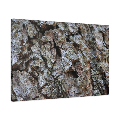 Cracked Echoes - Unique Frameless Canvas Wall Art - Art By Earth