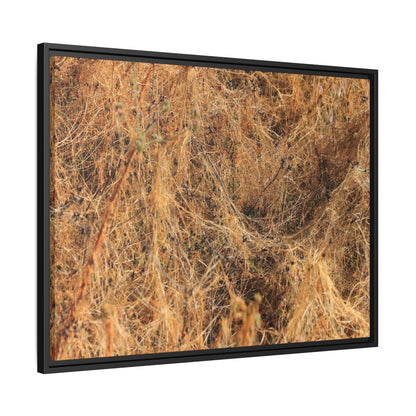 Dried Vegetation Study - Unique Stretched Canvas Wall Art - Art By Earth