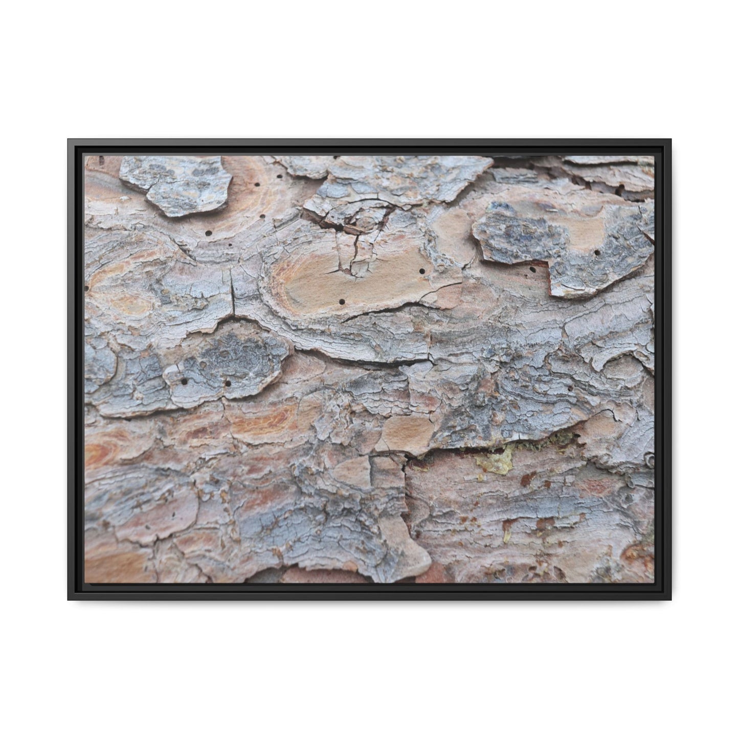 Peeling Memories - Unique Stretched Canvas Wall Art - Art By Earth