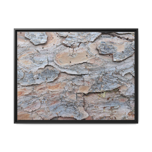 Peeling Memories - Unique Stretched Canvas Wall Art - Art By Earth