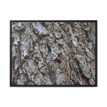 Woodland Canvas - Unique Stretched Canvas Wall Art - Art By Earth