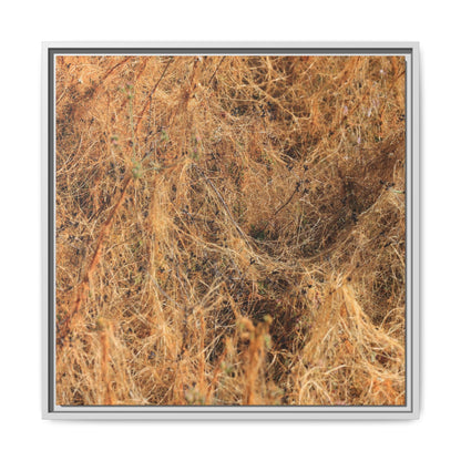 Dried Vegetation Study - Unique Stretched Canvas Wall Art - Art By Earth