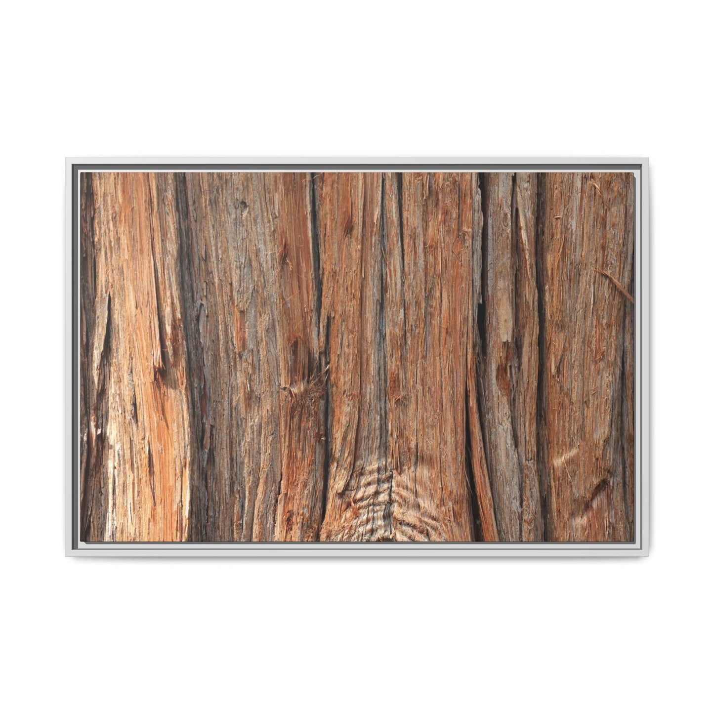 Echoes of Timber - Unique Stretched Canvas Wall Art - Art By Earth