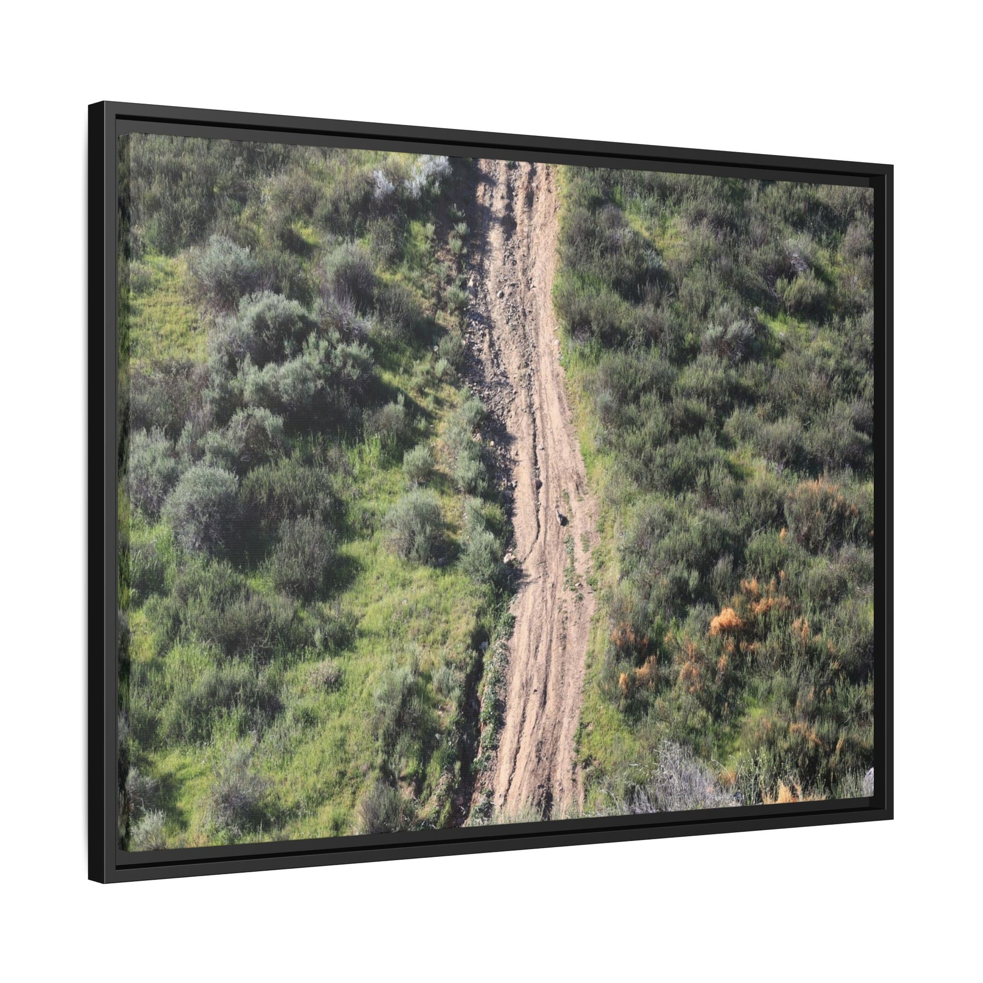 Desert Path Through Sage - Unique Stretched Canvas Wall Art - Art By Earth