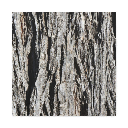 Bark Layers in Monochrome - Unique Frameless Canvas Wall Art - Art By Earth