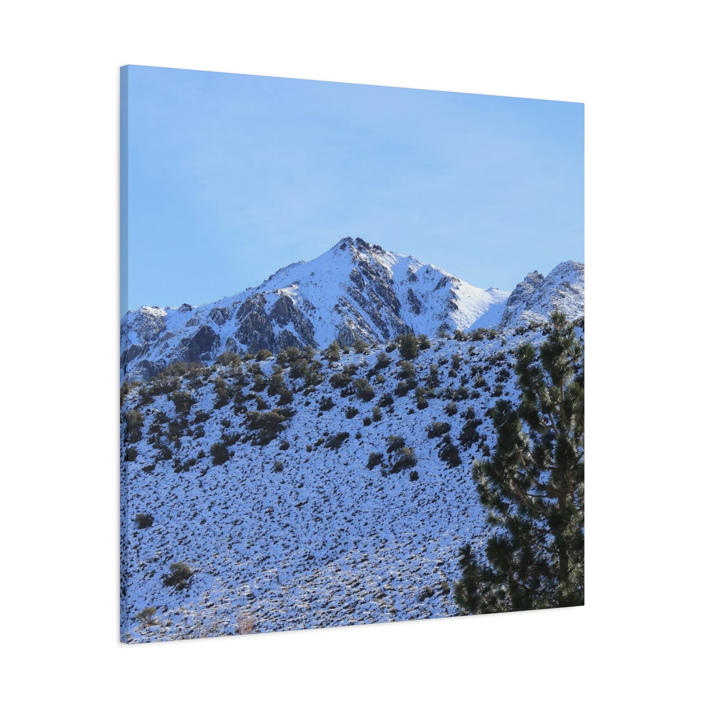 Snowy Peaks and Stoic Pines - Unique Frameless Canvas Wall Art