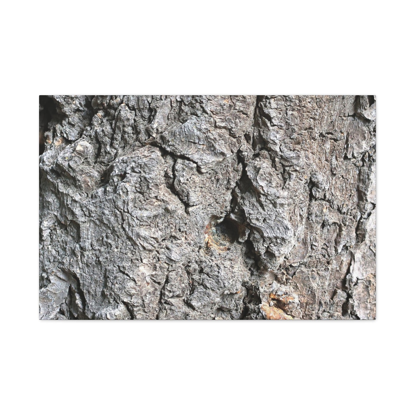 Elemental Canvas - Unique Frameless Canvas Wall Art - Art By Earth