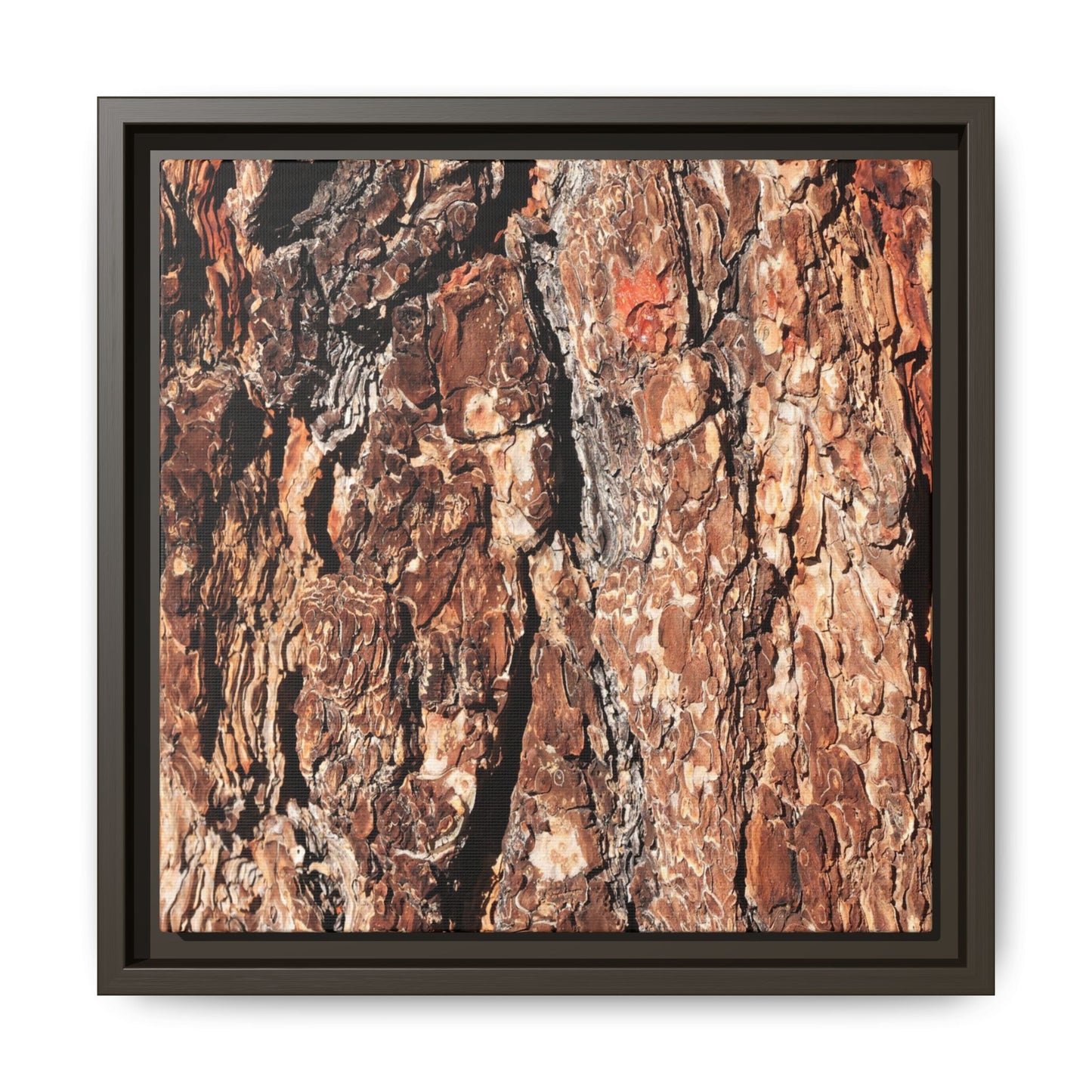 Nature's Rugged Canvas - Unique Stretched Canvas Wall Art