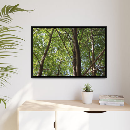 Forest Branches - Unique Stretched Canvas Wall Art