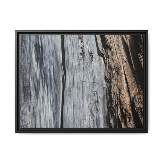 Wood's Lament - Unique Stretched Canvas Wall Art - Art By Earth