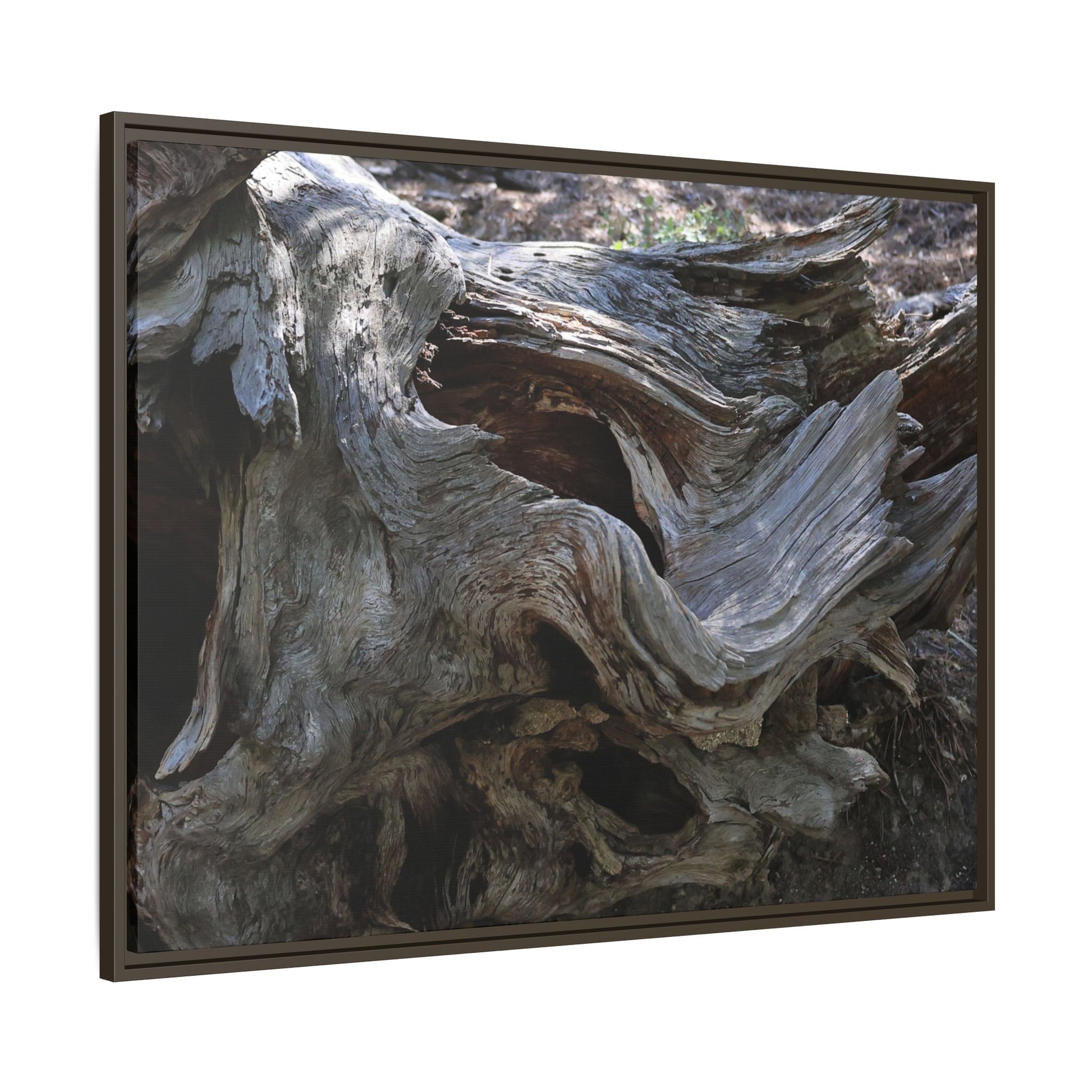 Twisted Memories - Unique Stretched Canvas Wall Art - Art By Earth